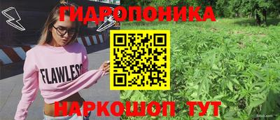 шишки Бузулук