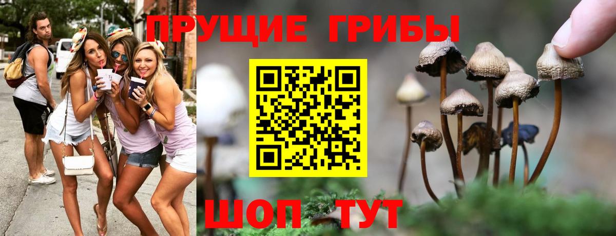 Галлюциногенные грибы Cubensis  Вход с VPN  Углич 